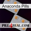 Anaconda Pills 25